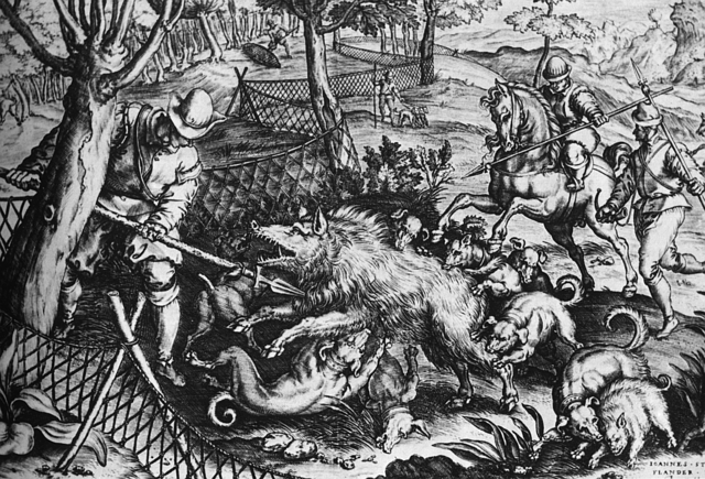 Wildschweinjagd im 16. Jahrhundert